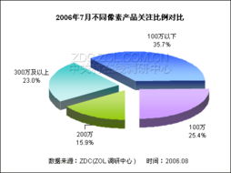 2006年7月數(shù)碼攝像機市場關(guān)注調(diào)查報告