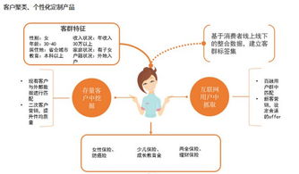 百家風控公司揭秘系列6 百融金服公司及產品調研報告